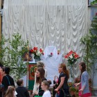 12-dsc_8463