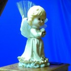 30-dscn8432