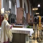 IMG_1110-Copy