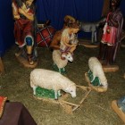 19-dsc_1298