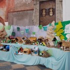 25-dsc_3784